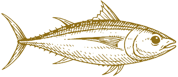 Dibujo de un pescado
